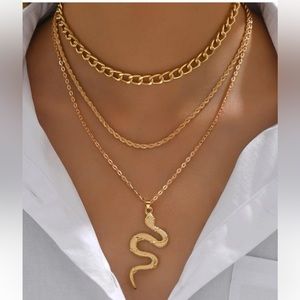 i don’t have any pictures of the necklace, but text me for proof!